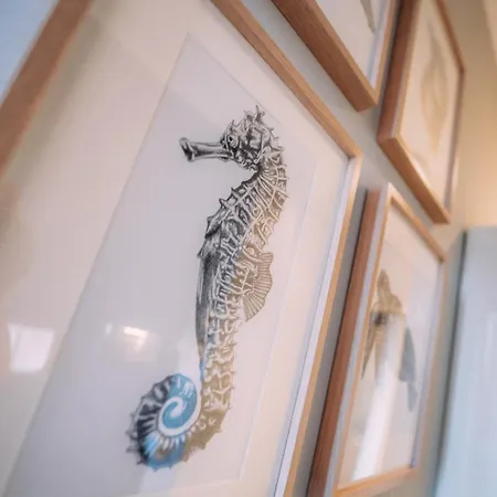 Frontemare Apartment